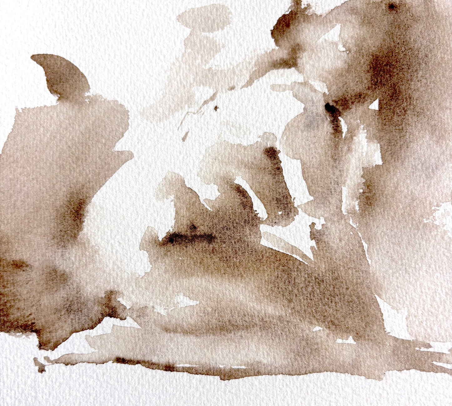 Life Drawing Using Watercolours With Tom Shepherd